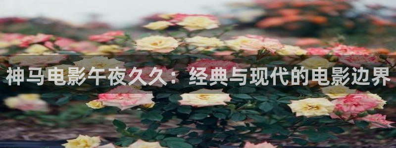蜜桃视频在线观看免费完整版高清