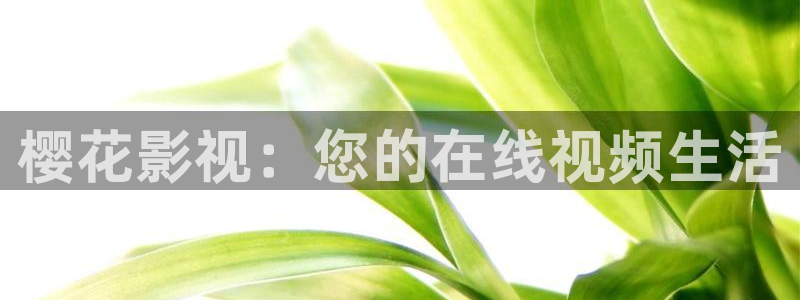 星空视频在线观看免费播放电影