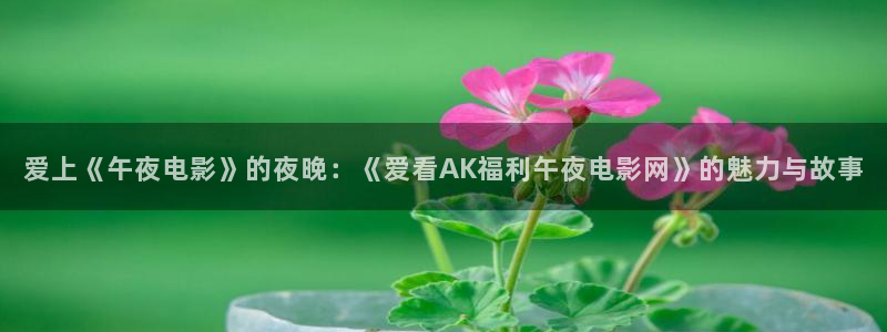 星空电影完整版免费