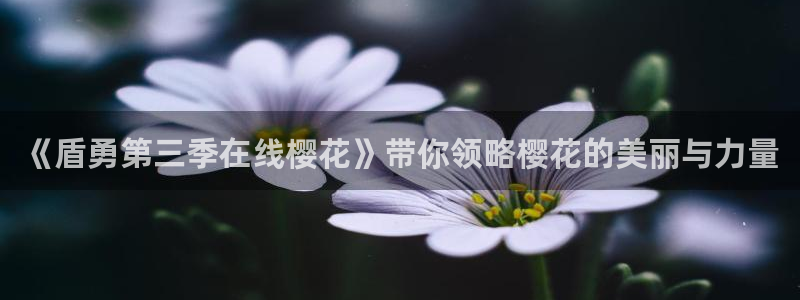 蜜桃视频免费观看电影下载