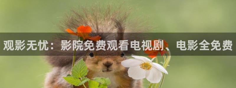 蜜桃视频电影免费播放