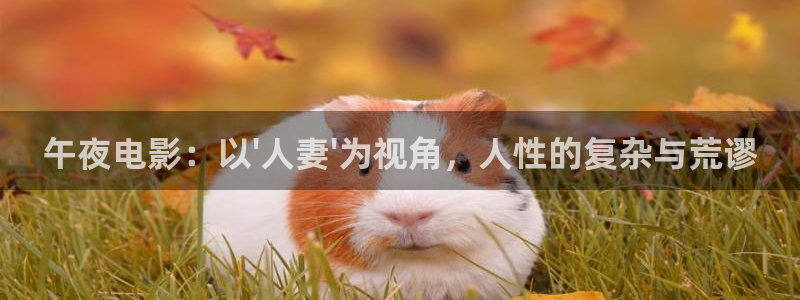 蜜桃视频在线观看全集免费2026