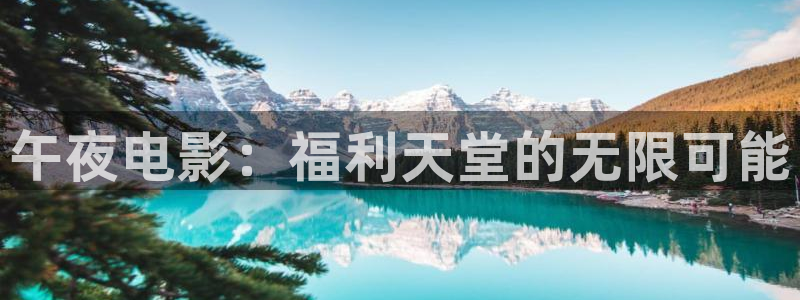 星空影视手机