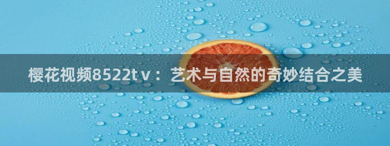 斗罗大陆漫画完整免费观看星空影视