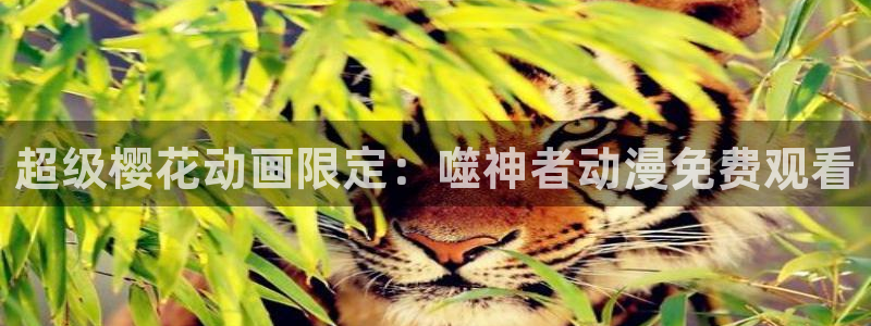 星空书