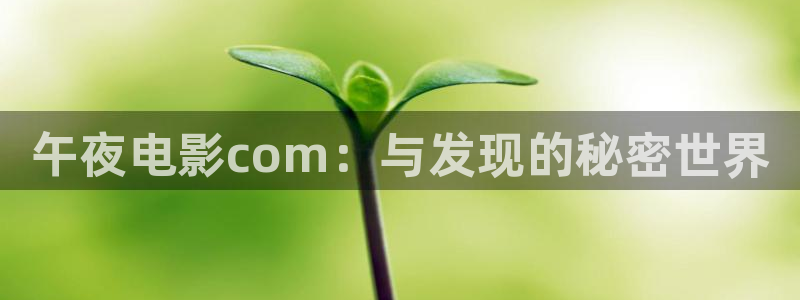 蜜桃视频动漫下载
