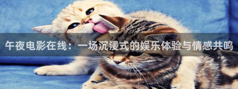 不忠蜜桃视频