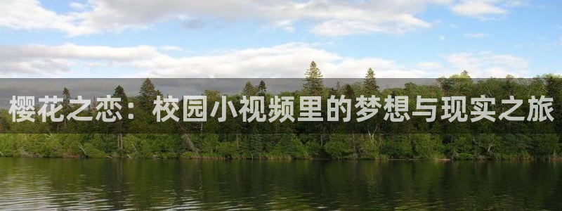 星空影视免费在线观看