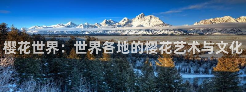 星空无限传媒免费高清观看