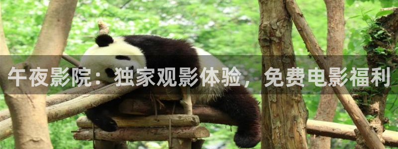 电影院星空顶