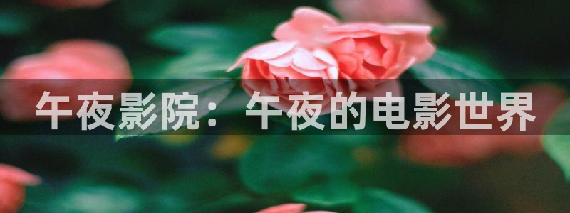 亚洲一区二区星空传媒影院