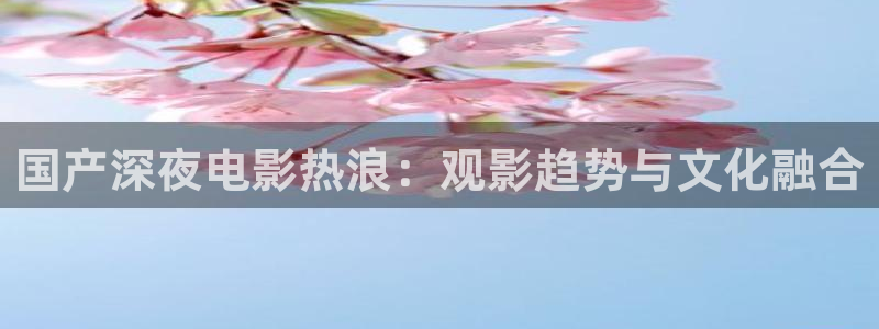 星空在线观影剧院