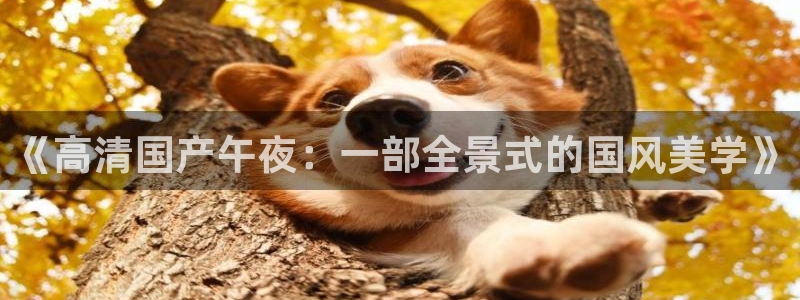 星空无限影院在线观看全集