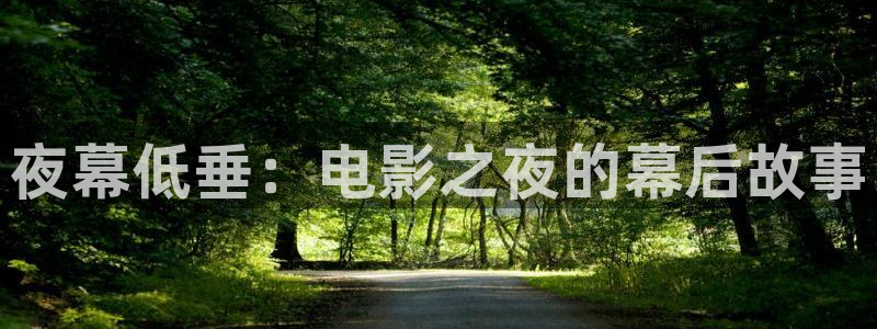 星空传媒免费播放