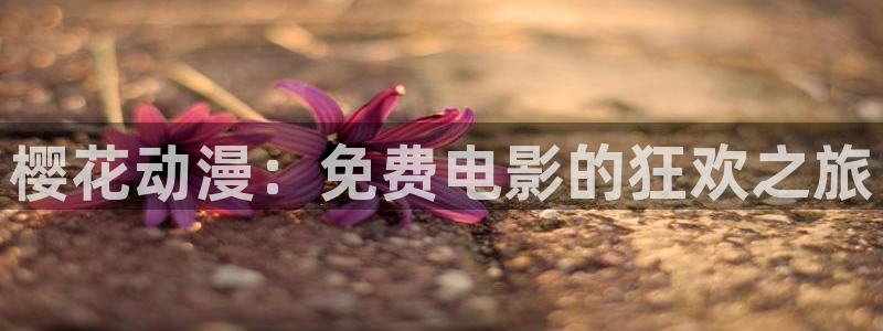 蜜桃视频大全在线观看完整