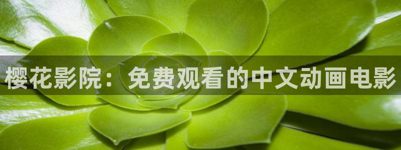 星空影视免费观看电影大全在线观看