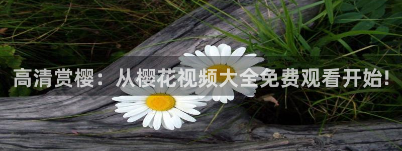 星空影视传媒免费观看