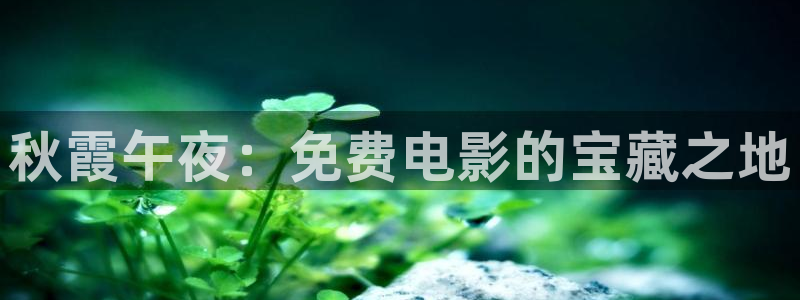 蜜桃视频电影在线观看免费高清炽道