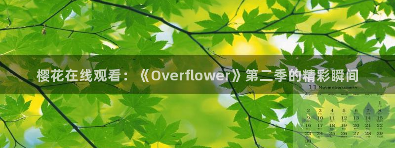 星空影视正版
