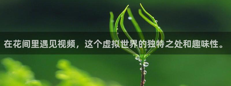 蜜桃视频在线播放观看视频