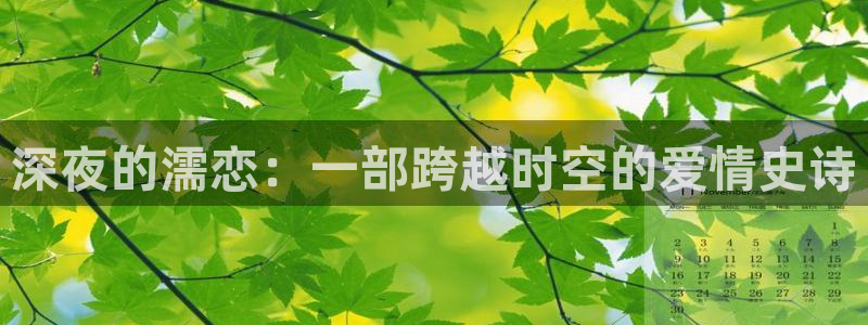 星空无限传媒在线电影
